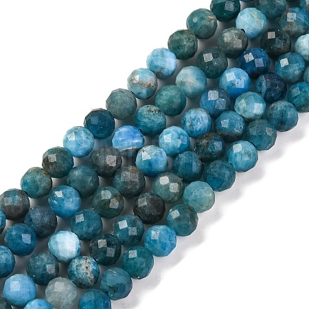 Natural Apatite Beads Strands X-G-F770-C02-02-1
