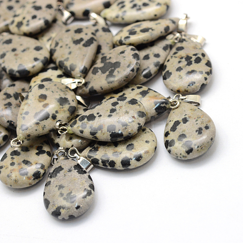 Teardrop Natural Dalmatian Jasper Pendants G-Q368-23-1