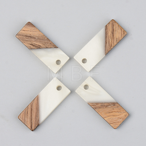 Resin & Walnut Wood Pendants RESI-S389-059A-C04-1