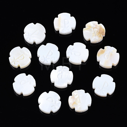 Natural Freshwater Shell Beads SHEL-T018-27-1