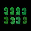 Luminous Frosted Transparent Acrylic Beads TACR-T029-21D-4
