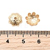 Brass Bead Caps KK-Z030-09LG-3