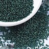 MIYUKI Round Rocailles Beads SEED-G007-RR0338-1