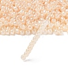 TOHO 6/0 Round Beads X-SEED-TR06-0147-2