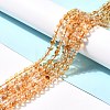 Natural Citrine Bead Strands X-G-P466-01D-2