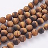 Frosted Natural Tiger Eye Round Bead Strands G-M064-14mm-02-1