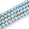 Baking Paint Glass Beads Strands DGLA-N012-10mm-06-1