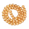 Handmade Lampwork with Gold Powder Beads Strands LAMP-N037-06A-06-2