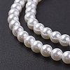 Shell Pearl Bead Strands X-BSHE-P023-3mm-3
