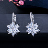 Brass Cubic Zirconia Hoop Earrings WGBE890-04-1