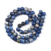 Natural Sodalite Beads Strands G-S279-10-6mm-3