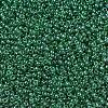 MIYUKI Round Rocailles Beads X-SEED-G007-RR0173-3