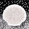 Glass Seed Beads SEED-T007-10B-4