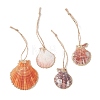 Electroplate Multicolor Sea Shell Pendant Decorations HJEW-JM04622-2