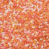 Baking Paint Glass Seed Beads X-SEED-S042-05B-45-3