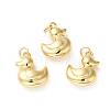 Rack Plating Brass Pendants KK-D074-28G-2