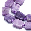 Natural Lepidolite/Purple Mica Stone Beads Strands G-K245-J05-01-3