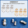 12Pcs 2 Colors Brass Clear Cubic Zirconia Connector Charms FIND-HY0001-24-4