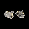 Raw Rough Natural Quartz Crystal Stud Earrings EJEW-R148-01LG-05-3