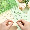 Glass Beads DIY-FS0010-58B-5