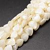 Natural Trochid Shell/Trochus Shell Beads Strands SSHEL-K012-05-1