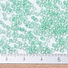 MIYUKI Round Rocailles Beads SEED-JP0008-RR0219-4