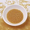MIYUKI Delica Beads SEED-J020-DB0702-2