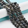 Natural Labradorite Beads Strands G-S333-6mm-035-1