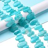 Natural Amazonite Beads Strands G-P478-04-2