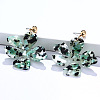 Alloy & Acrylic Dangle Stud Earrings FS-WG0D14E-05-1