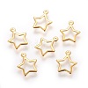 304 Stainless Steel Charms STAS-P227-21G-1