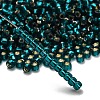 TOHO 6/0 Round Beads X-SEED-TR06-0027BD-2