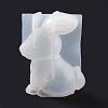 3D Figurine Silicone Molds DIY-E058-02G-6