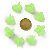 Transparent Acrylic Beads PLF018-05-3
