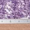 MIYUKI Delica Beads SEED-J020-DB1754-4