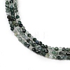 Natural Moss Agate Beads Strands X-G-A129-3mm-01-5
