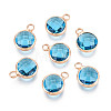 Golden Tone Brass Glass Charms GLAA-ZX008-24B-G-1