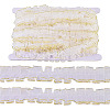 10M Double Layer Polyester Lace Ribbon OCOR-TA0004-14B-1