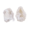 Natural Quartz Geode Cornucopia Mineral Specimen DJEW-M014-02A-2