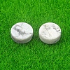 Natural Howlite Healing Stones PW-WG21121-04-1