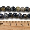 Natural Sodalite Beads Strands G-F591-13-5