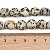 Natural Dalmatian Jasper Beads Strands GG-CBA787B-A11-4
