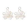 Brass Micro Pave Clear Cubic Zirconia Charms CU-CBAEC99-22S-1