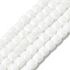 Opaque Glass Beads Strands GLAA-L050-C24-1