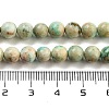 Natural Peruvian Turquoise(Jasper) Beads Strands G-Z062-A01-01-5