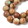 Dyed Natural Regalite/Imperial Jasper/Sea Sediment Jasper Beads Strands G-B124-C03-11-2