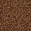 12/0 Grade A Round Glass Seed Beads SEED-Q007-F31-2