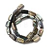 Natural Abalone Shell/Paua Shell Beads Strands BSHE-D300-01B-2