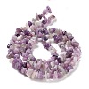 Natural Lepidolite/Purple Mica Stone Beads Strands X-G-P497-03A-06-3