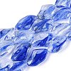 Handmade Lampwork Beads Strands LA-N046-02E-1